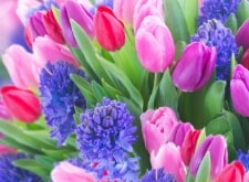 designer’s choice flowers, shop now for delivery in  Bloomington